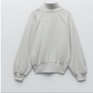Zara Plush Balloon Sleeve Sweatshirt